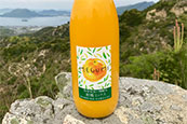 【農薬不使用】濃厚な味わい柑橘ミックスジュース1000ml　3本