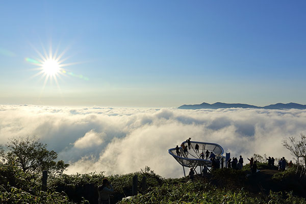 Cloud Poolとトマムの雲海