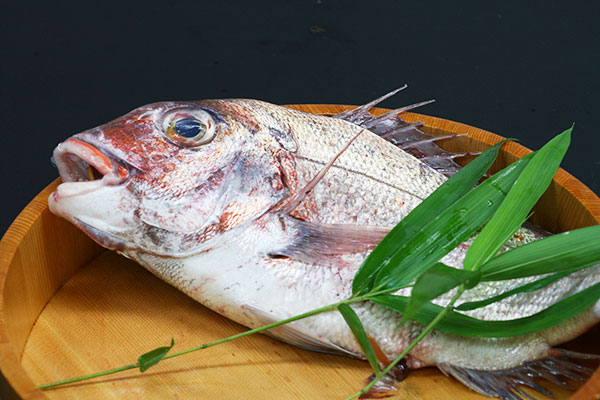 秋と春に旬を迎える「鳴門鯛」