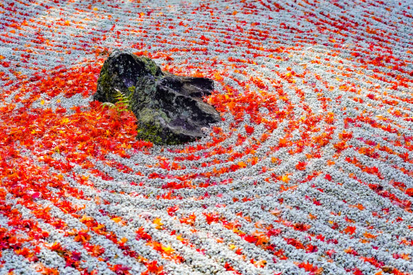 紅葉が彩る円通院・雲外天地の庭