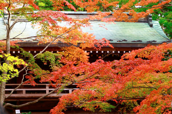 大窪寺の紅葉