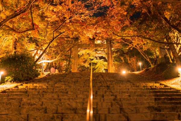 宝満宮竈門神社の紅葉